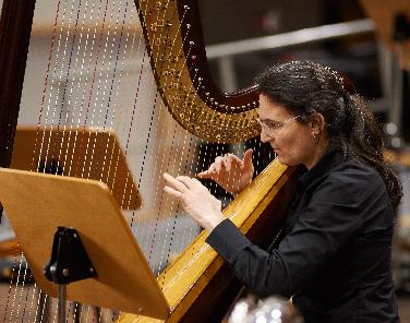 Ingolstädter Kammerorchester mit UA für Harfe und Tuba